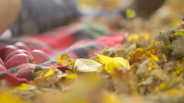 Männerhand holt Apfel im Herbstpark aus der Erde — Stockvideo