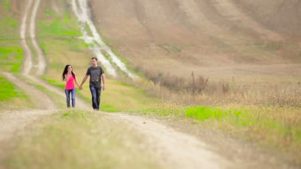 Pareja sosteniendo las manos caminando lejos — Vídeos de Stock