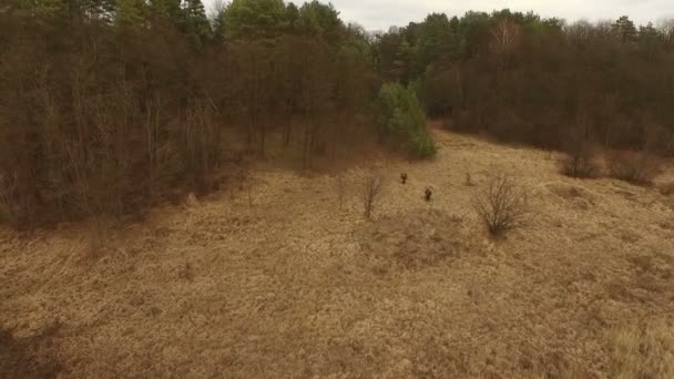 Terroristas con armas tratando de cruzar la frontera — Vídeo de stock