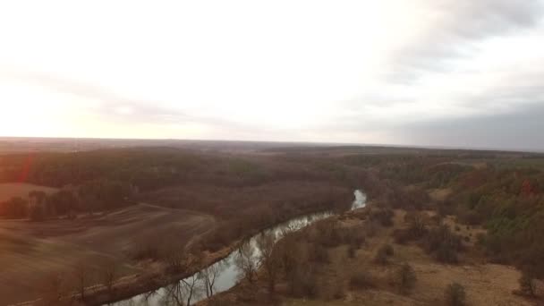 Sinek üzerinde orman Güz, Ukrayna — Stok video