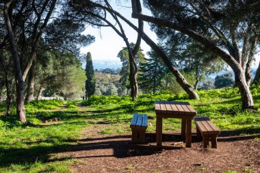Wooden picnic table. Monsanto. Natural Park, Portugal. Lunch. Family time concept. clipart