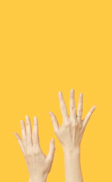 Mãos Femininas Fundo Amarelo Mãos Mínimas Estendendo Layout — Fotografia de Stock