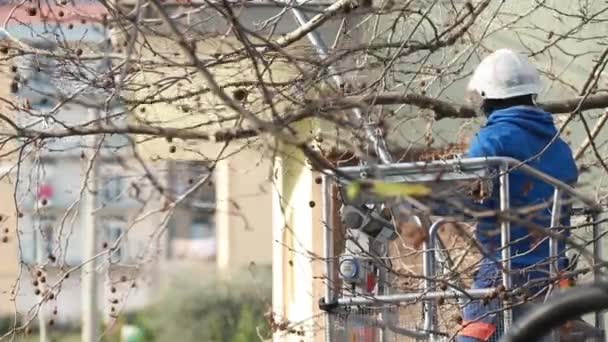 Pekerja Memotong Beberapa Cabang Pohon Tinggi Dalam Buaian Menara Otomatis — Stok Video