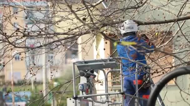 在汽车塔的摇篮里 一个高树的一些枝条被工人们砍倒了 — 图库视频影像