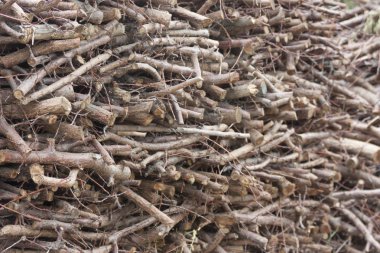 Yakacak odun yığını