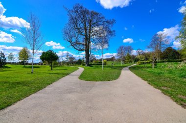 Lane-Cusworth şekilde 