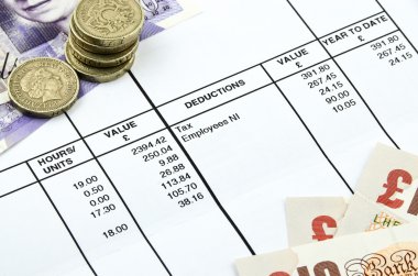  Bir payslip detay