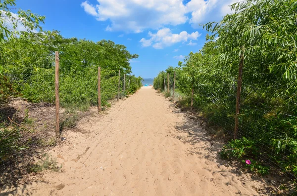 Camino a la playa de arena junto al mar Báltico — Foto de Stock