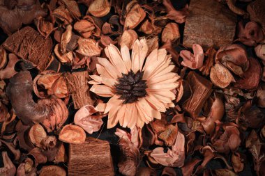 Kırmızı ve beyaz, süs ve arka plan olarak gerçek doğal çiçek yaprağı. Güzel koku, parfüm, koku, renk..