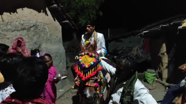 Hindistan Düğün Gelenekleri — Stok video