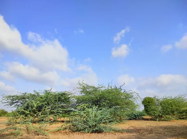 Geweldige Fotografie Sky Clouds Weer — Stockfoto