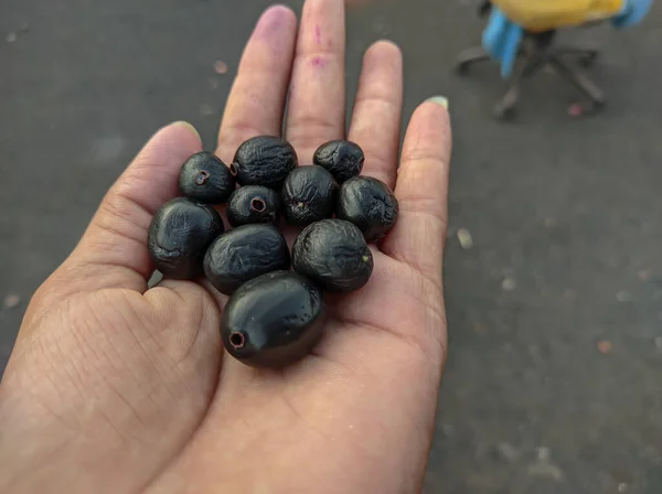 Jubun Och Jamun Jambolanska Frukter Monsun Säsongens Frukter Och Fantastiska — Stockfoto