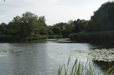 Der Ziegeleipark mit Heilbronn am Neckar bei stuermischem islak