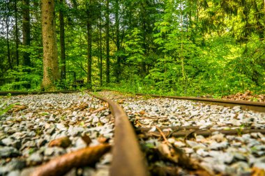 Schienen einer alten Bergwerksbahn im Wald. Öl Schienen sind in einem flachen Winkel aufgenommen und verschwinden mit einer Kurve im Wald