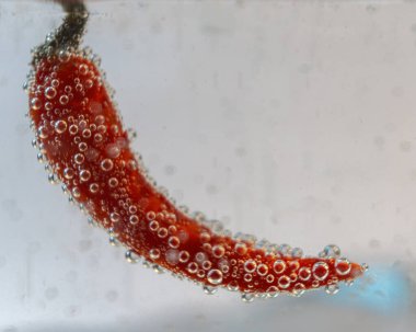 Mineralwasser Gehaengt 'teki Eine Frucht Wird. Es Entstehen viele Blasen auf und neben der Frucht.