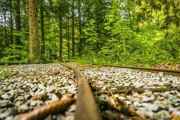 Schienen Einer Alten Bergwerksbahn Wald Die Schienen Sind Einem Flachen — Stock fotografie