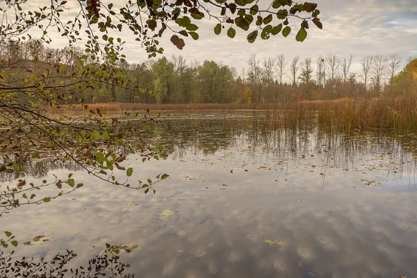 Осенью Небольшое Озеро Облачным Небом Озеро Окружено Деревьями Тростником — стоковое фото