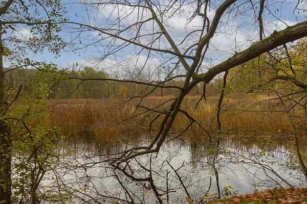 Pequeño Lago Idílico Otoño Con Cielo Nublado Lago Está Rodeado — Foto de Stock