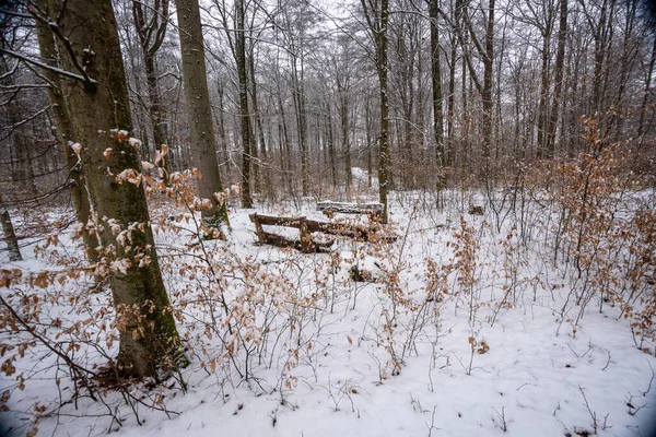 Park Bench Winter Forest Snow Bank Covered Thin Snow Bench — Stock Photo, Image