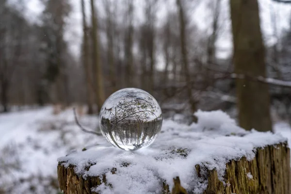 Χειμερινό Δάσος Είναι Ανάποδα Μια Μπάλα Φακού Μοτίβο Στην Γυάλινη — Φωτογραφία Αρχείου