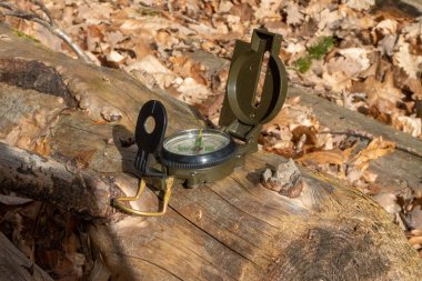 Ormanda güneş ışığında bir kütüğün üzerinde yeşil bir pusula.