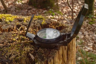 Ormanda güneş ışığında bir kütüğün üzerinde yeşil bir pusula.