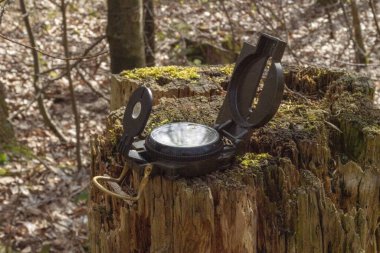 Ormanda güneş ışığında bir kütüğün üzerinde yeşil bir pusula.