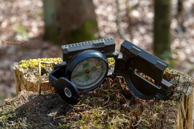 Ormanda güneş ışığında bir kütüğün üzerinde yeşil bir pusula.