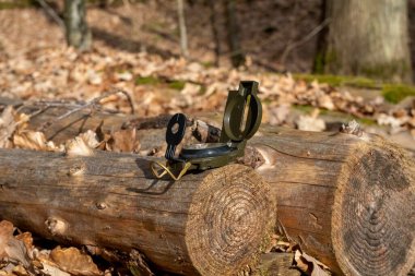 Ormanda güneş ışığında bir kütüğün üzerinde yeşil bir pusula.