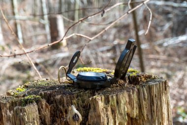 Ormanda güneş ışığında bir kütüğün üzerinde yeşil bir pusula.