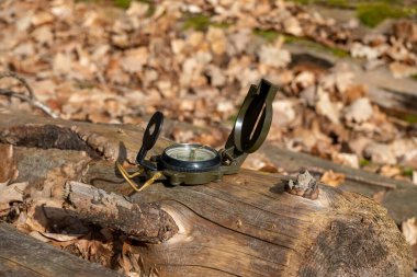 Ormanda güneş ışığında bir kütüğün üzerinde yeşil bir pusula.