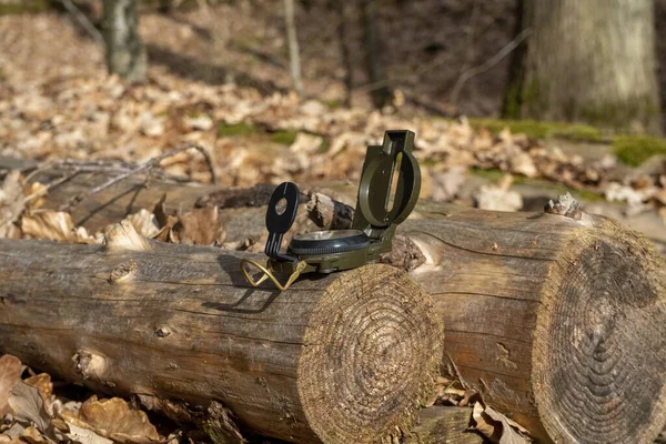 Ormanda güneş ışığında bir kütüğün üzerinde yeşil bir pusula.