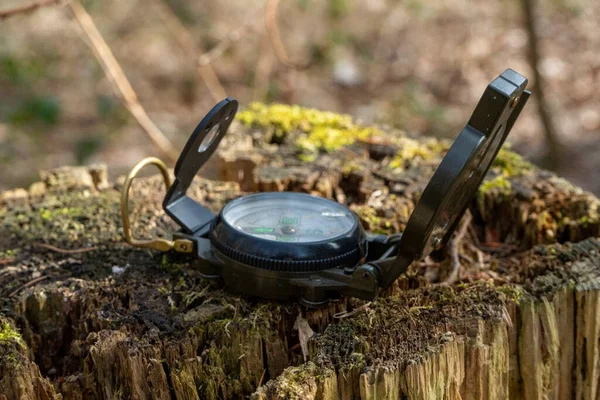 Ormanda güneş ışığında bir kütüğün üzerinde yeşil bir pusula.