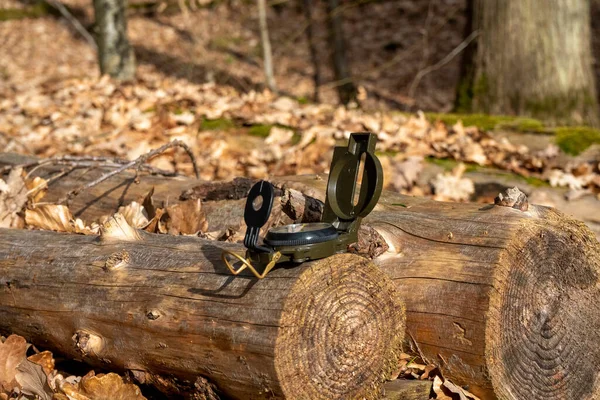 Ormanda güneş ışığında bir kütüğün üzerinde yeşil bir pusula.