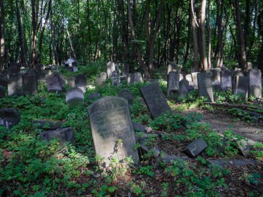 Varşova, Polonya. 22 Ağustos 2019. Varşova Yahudi Mezarlığı 'ndaki eski, terk edilmiş ve yıkılmış mezarlar (Cmentip Zydowki) 