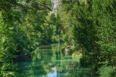 Castilla-La Mancha 'daki (İspanya) Cuenca şehrinden geçen Jucar nehri, güneşli bir günde nehir kenarındaki ağaçlarla çevrili yeşil suyla doludur..