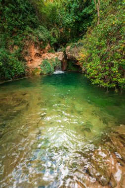 Bohlgues Nehri 'ndeki vahşi gölet, Rincn de Ademuz, İspanya
