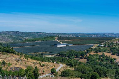 Trancoso, Portekiz. 25 Ağustos 2020. Düzgün bir tarımsal alan manzarası 