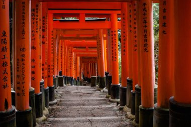 Kyoto Japonya 'daki ünlü Fushimi Inari Taisha türbesine kırmızı Torii kapıları.