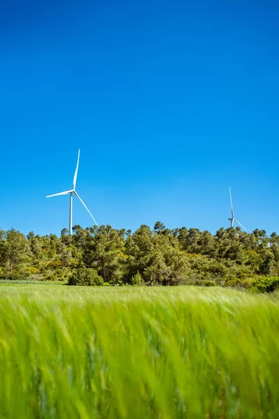 Turbina Eólica Destaca Sobre Prado Verde — Fotografia de Stock