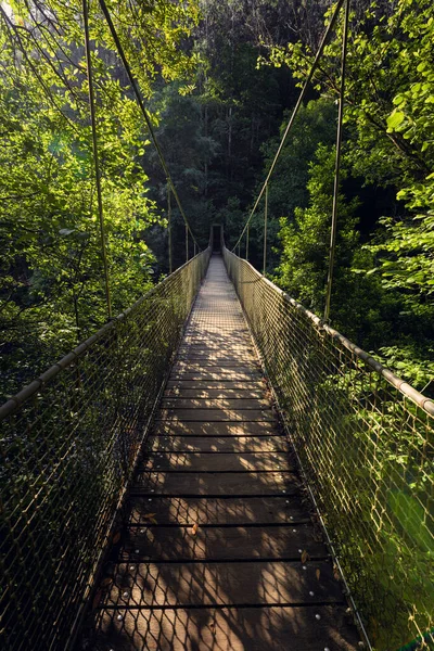 Ponte Sospeso Fiume Nella Giungla Ponte Fornelos Nel Parco Naturale — Foto Stock