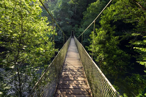 Ponte Sospeso Fiume Nella Giungla Ponte Fornelos Nel Parco Naturale — Foto Stock