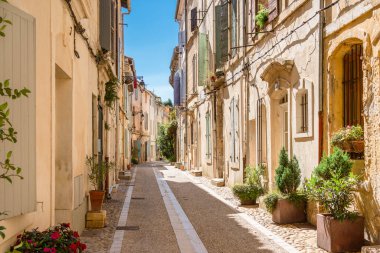 Arles 'te yeşil bitkilerle dolu cennet gibi bir cadde manzarası. 