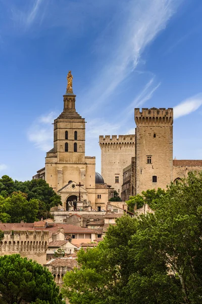 Katedra Avignon Pałac Papieski Historyczny Pejzaż Miasta Francji — Zdjęcie stockowe