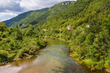 Parc National des Cevennes, Fransa 'daki Gorges du River Tarn. UNESCO Biyosfer Rezervi