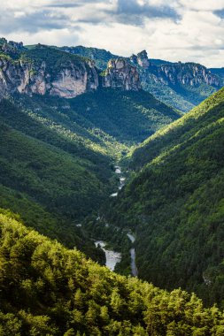 Tarn nehrinin geçitleri. Fransa 'nın güneyindeki saf doğal manzaranın yükselişi. Parc National des Cevennes.