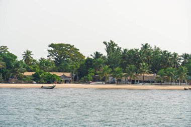Senegal, Carabane Adası 'nın tropik kıyı şeridi. Geleneksel kulübeleri ve palmiye ağaçları var.