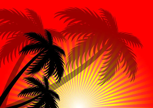 Zonsondergang zonlicht zomer vector achtergrond — Stockvector