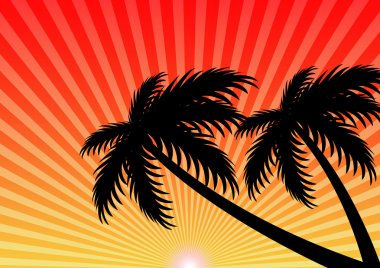 Yaz tatil sunset ve Hindistan cevizi ağacı