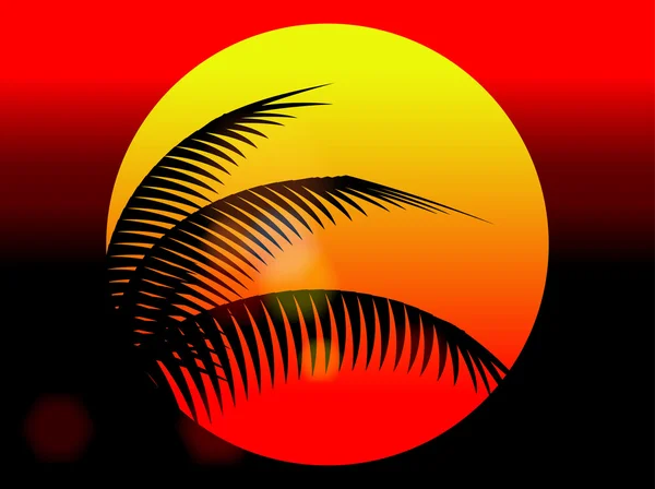 Yaz tatil sunset ve Hindistan cevizi ağacı